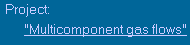 Project: "Multicomponent gas flows" 