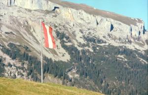 Österreicher Nationalstolz